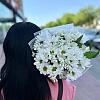 Купить цветы в магазине в городе Благовещенск
